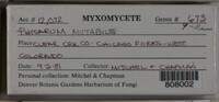 Image Associated With the Occurence
